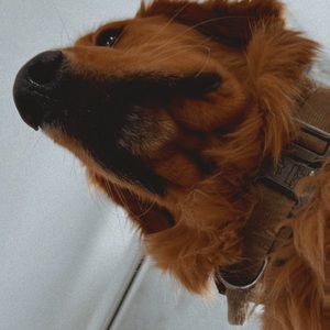 Meet your Posher, Yadira